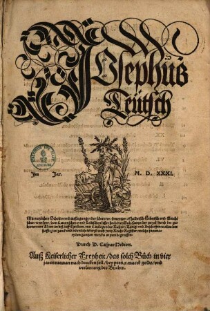 Josephus Teütsch : mit nutzlichen Scholien und Außlegungen der schweren Sentenzen ...
