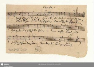 Canto [nur Choral]