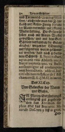 Das XI. Cap. Von Gebresten der Nieren und Blasen.