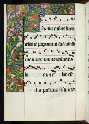 Bordüre, Zierinitiale: A(scendit Christus)