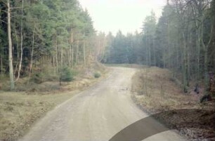 Hohenfelder Damm: links Kopfsteinpflaster, rechts Sommerweg: beiderseits Wald: vorne links Einmündung von Weg: hinten Straßenkurve