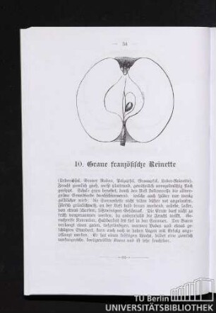 10. Graue französische Reinette