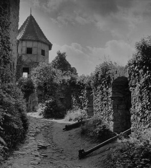 Archivfotografie "neckar_hornberg_3332"