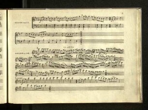 Flauto Polonaise