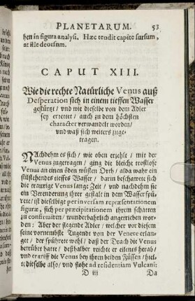 Caput XIII. Wie die rechte Natürliche Venus auß Desperation sich in einem tieffen Wasser gestürzt ...