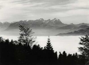 Das Nebelverhangene Rheintal mit Blick zur schweizer Säntisgruppe