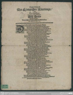 Kurtzer Entwurff des Königl. Fündlings, oder Dorispillens welcher in zwey Misch-Spielen vorgestellet wurde ... : Gedicht