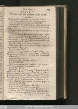 Caput VI. De Providentiae divinae causis & adiunctis.