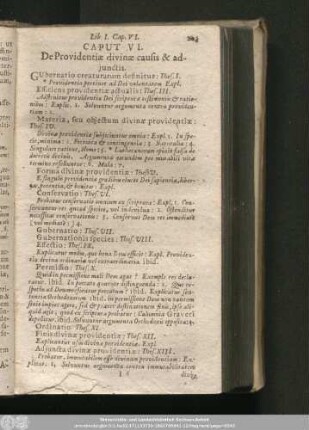 Caput VI. De Providentiae divinae causis & adiunctis.