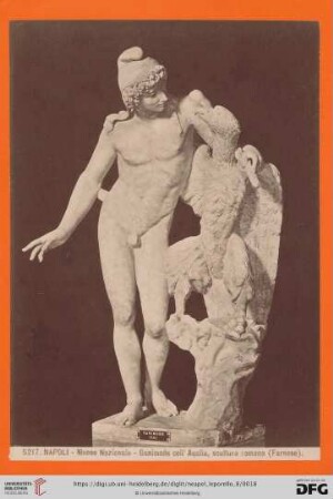 5217. NAPOLI. Museo Nazionale. - Ganimede coll' Aquila, scultura romana (Farnese)