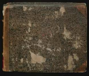 Die Adeliche und Ritterliche Fechtkunst : Ms. germ. oct. 227