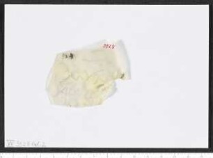 CIL XV 3928 δ, Gelatinefolie