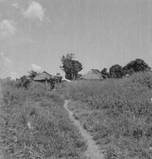 Feldweg : Weg durch Felder in ein Dorf