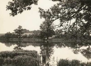 Wurschen. Blick über den Belgerner Teich gegen den Burgwall von Belgern