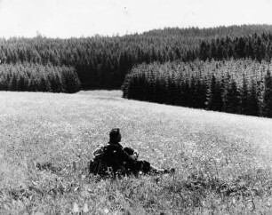Im Glasbachtal bei "Sieh dich für"
