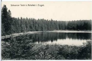 Rehefeld. Schwarzer Teich