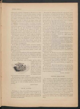De mi diario