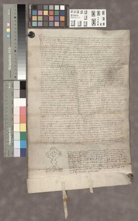 Fauerbach bei Friedberg: Weistum über die Fautei Fauerbach