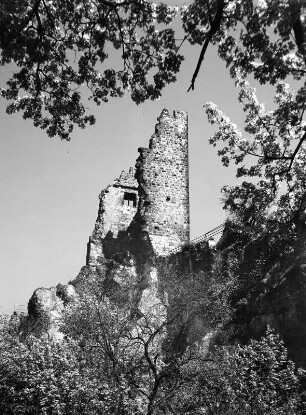 Königswinter. Burg Drachenfels (Siebengebirge) (1126-1169)