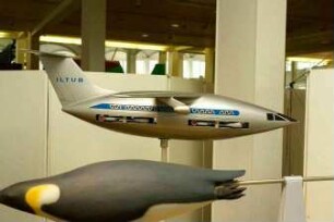 Hertel-Laminar-Flugzeug