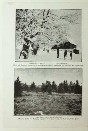 Hochmoor bei Oberwiesental