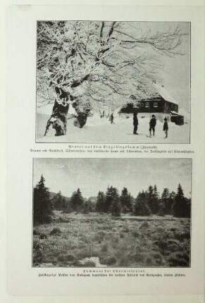 Hochmoor bei Oberwiesental