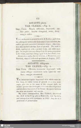 Astarte plana. Tab. CLXXIX. — Fig. 2