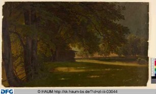 Wiese mit Schuppen, Zaun und Bäumen