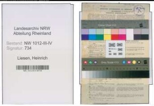 Entnazifizierung Heinrich Liesen , geb. 06.05.1895 (Sekretaer)