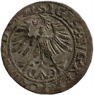 Münze, Kwartnik, 1563