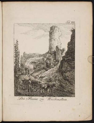 Tab. XXX Die Ruine zu Wüstenstein. - Burg Wüstenstein, Wiesenttal-Wüstenstein