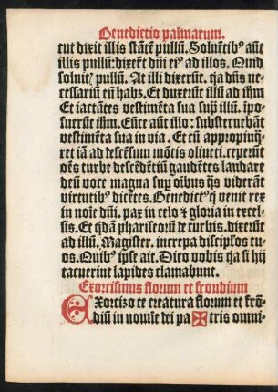 Exorcismus florum et frondium