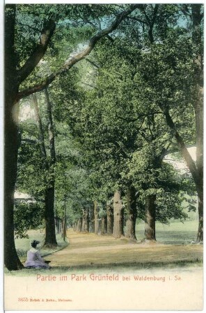 Waldenburg. Park Grünfeld