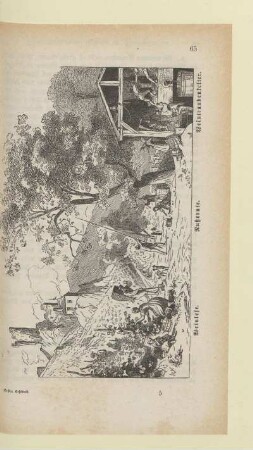 [Weinlese]