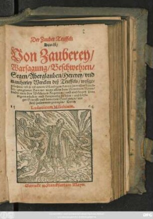 Der Zauber Teuffel:|| Das ist,|| von Zauberey,|| Warsagung, Beschwehren,|| Segen, Aberglauben, Hexerey, und || mancherley Wercken deß Teuffels ... || Durch || Ludovicum Milichium.||