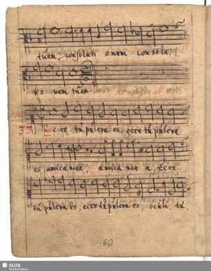 33. Anonymus: Ecce tu pulchra es