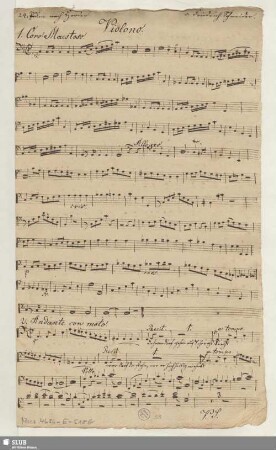Violono.