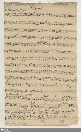 Violono.