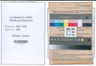 Entnazifizierung Alwine Giesen , geb. 01.05.1894 ()