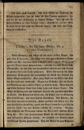 Die Geyer.