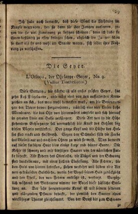 Die Geyer.