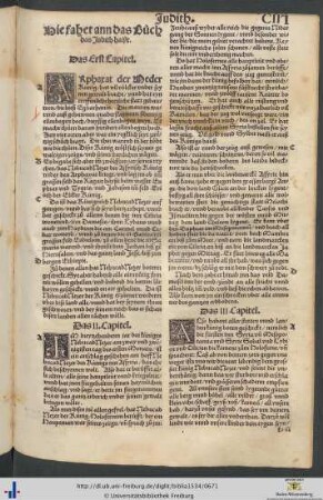 Das Buoch das Judith haißt