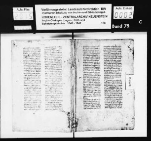 Gültbuch und Gülteinzugsregister über Hohebach.