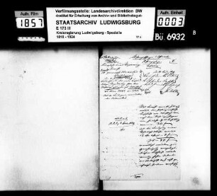 Stiftungspfleger und Offizianten, Oberamt Vaihingen