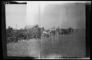 Focșani (Rumänien): Pferdegespanne mit Pferdewagen in Reih und Glied (Seitansicht) ("Kolonne")