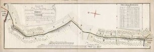 Geometrischer Plan dererjenigen Landes- und Bann-Graenzen, welche sich zwischen dem Kaiserlich-Königlich-Erzherzoglich Vorderoesterreichischen Flecken Ichdingen als eines, sodann dem Hochfürstlich Markgraeflich Baadischen Flecken Leiselheim als anderer seits befinden