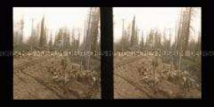 Bau der Eisenbahntrasse zwischen Portland und Oregon City