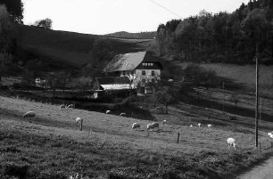 Hof am Waldrand von Unterneuhäuser bei Kirchzarten