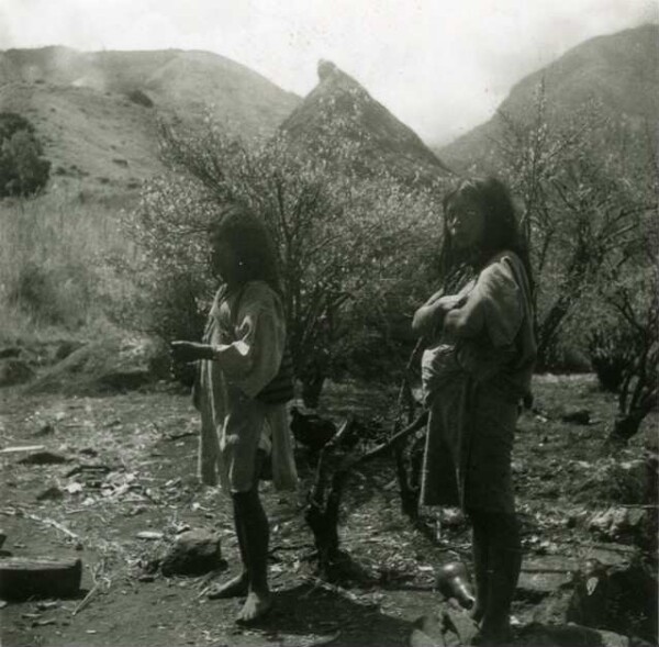 Peyvopaar in their hayo plantation