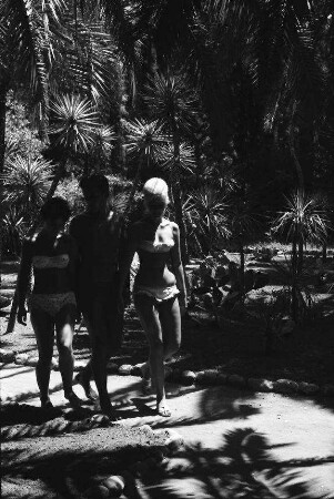 Lopud: zwei Mädchen und Mann im Palmenhain